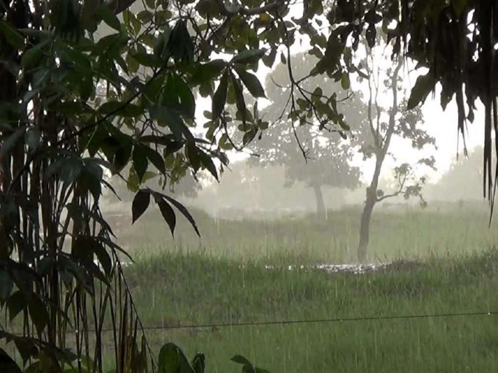 Rain Updates : परतीच्या पावसाची जोरदार बॅटिंग सुरु; मराठवाड्यात पिकांचं नुकसान