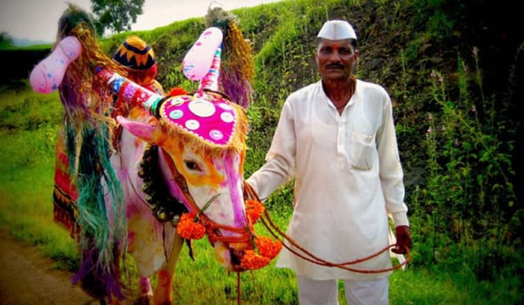 शेतकऱ्यांच्या प्रत्येक सुख-दुःखातील सोबत्याची अनोखी कहाणी