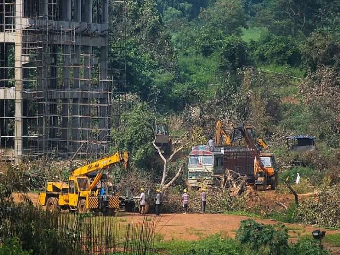 Aarey Case Hearing