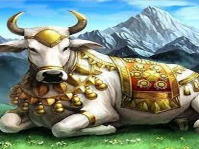 Nandi