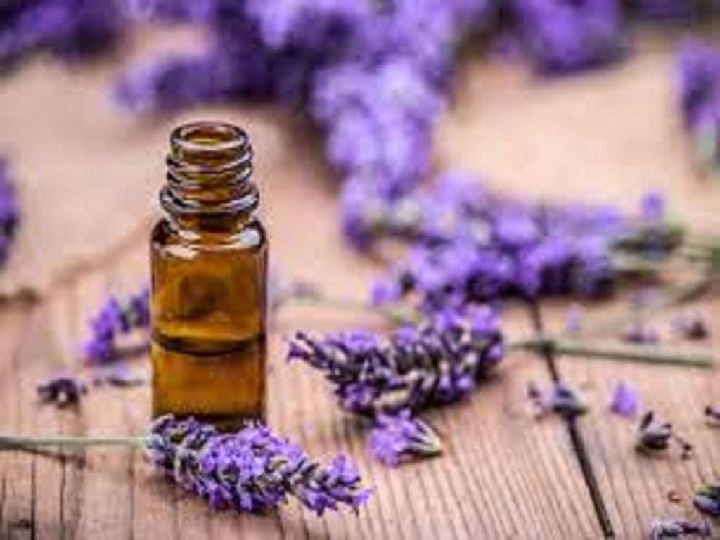 Lavendar oil 