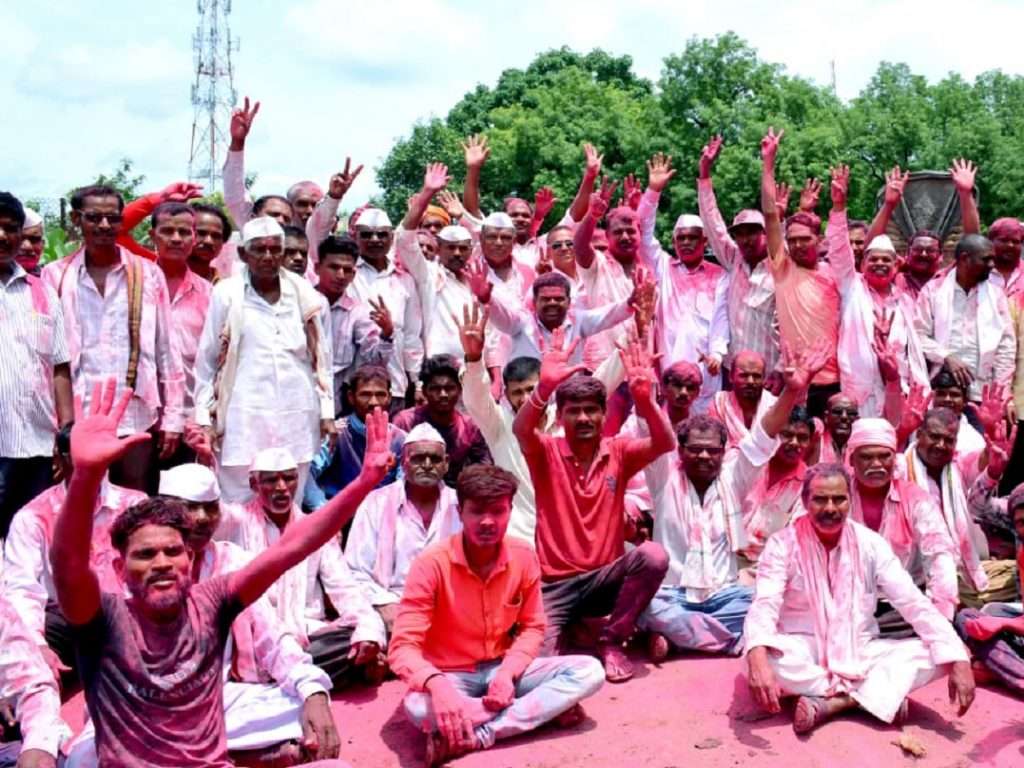 नंदुरबारमध्ये भाजपचा धुरळा,शिंदे विरुद्ध लढतमध्ये भाजप आघाडी, ९ ग्रामपंचायतींवर कमळ फुलणार