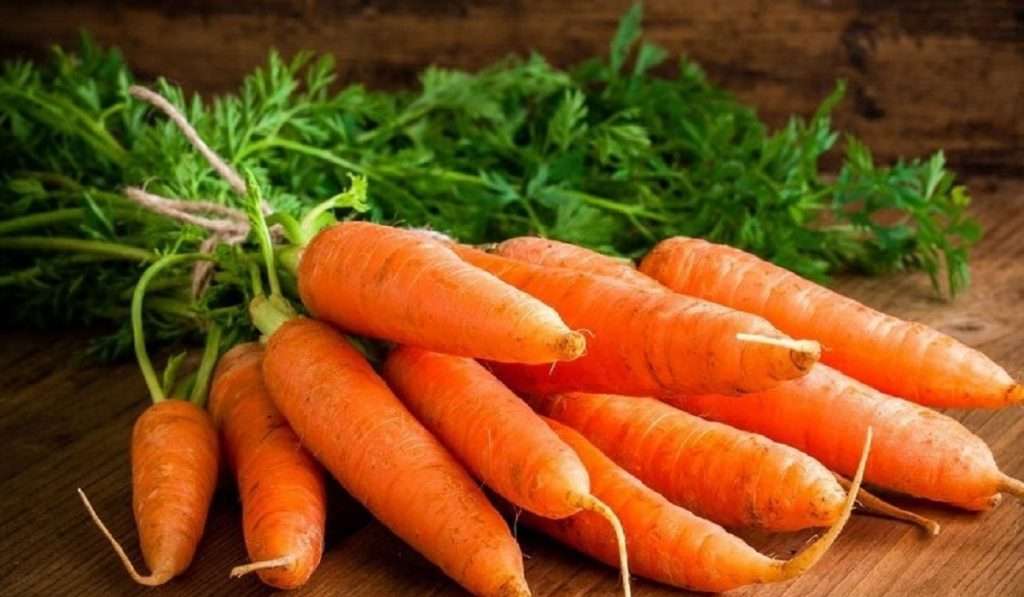 Carrot योग्य प्रमाणात पोषक तत्वे मिळविण्यासाठी हिवाळ्यात खा ‘गाजर’