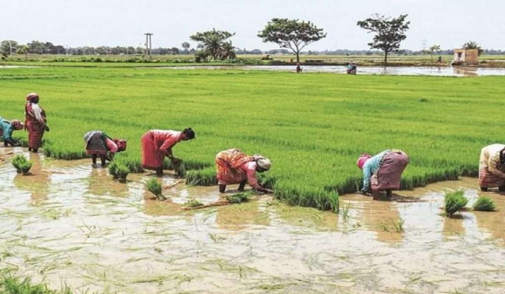 National Farmer’s Day 2022 २३ डिसेंबरला ‘शेतकरी दिवस’ का साजरा केला जातो ?