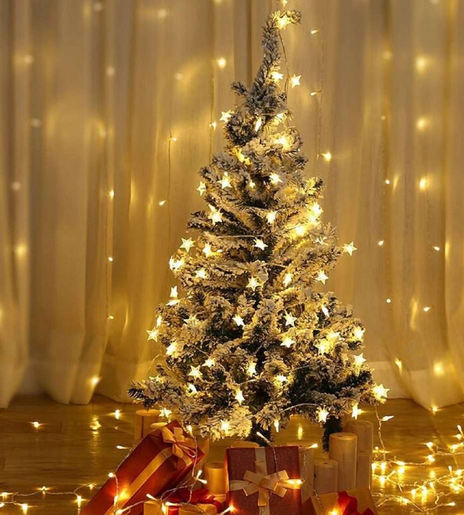 Christmas 2023: जगातल्या जुन्या चर्चमध्ये ६ जानेवारीला होते Christmas Celebration