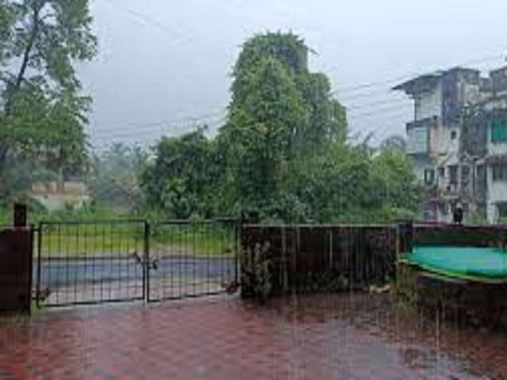 Cyclone Mandous मंदोस चक्रीवादळाचा फटका महाराष्ट्रालाही बसला, सिंधुदुर्गात अवकाळी पावसामुळे आंबा, काजू बागायतदारांची वाढली चिंता