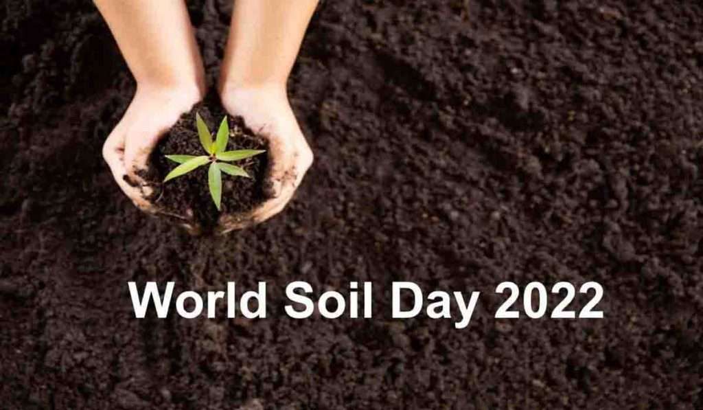 World Soil Day 2022 ‘जागतिक मृदा दिन’ ५ डिसेंबर रोजी साजरा केला जातो, जाणून घ्या इतिहास आणि महत्त्व