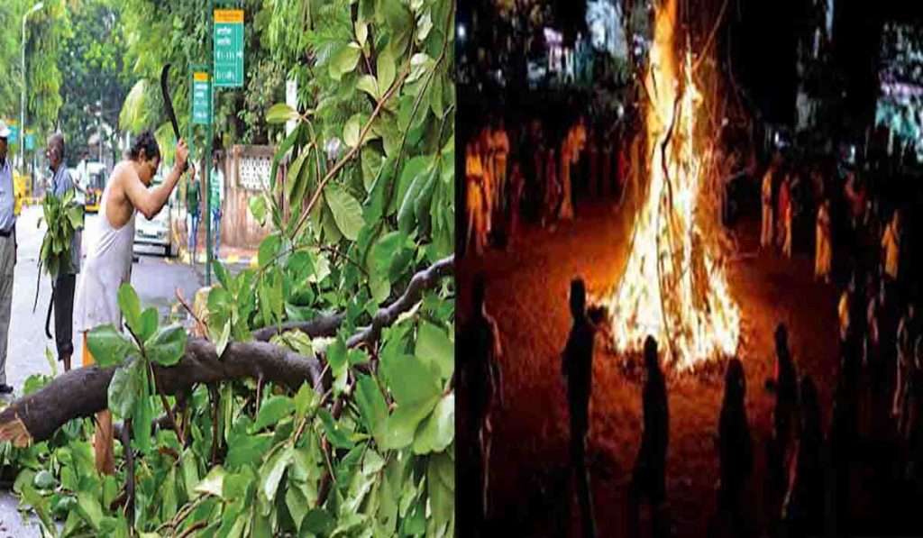 Holika Dahan 2023, होळी दहनासाठी झाडे तोडल्यास भोगावा लागेल कारावास