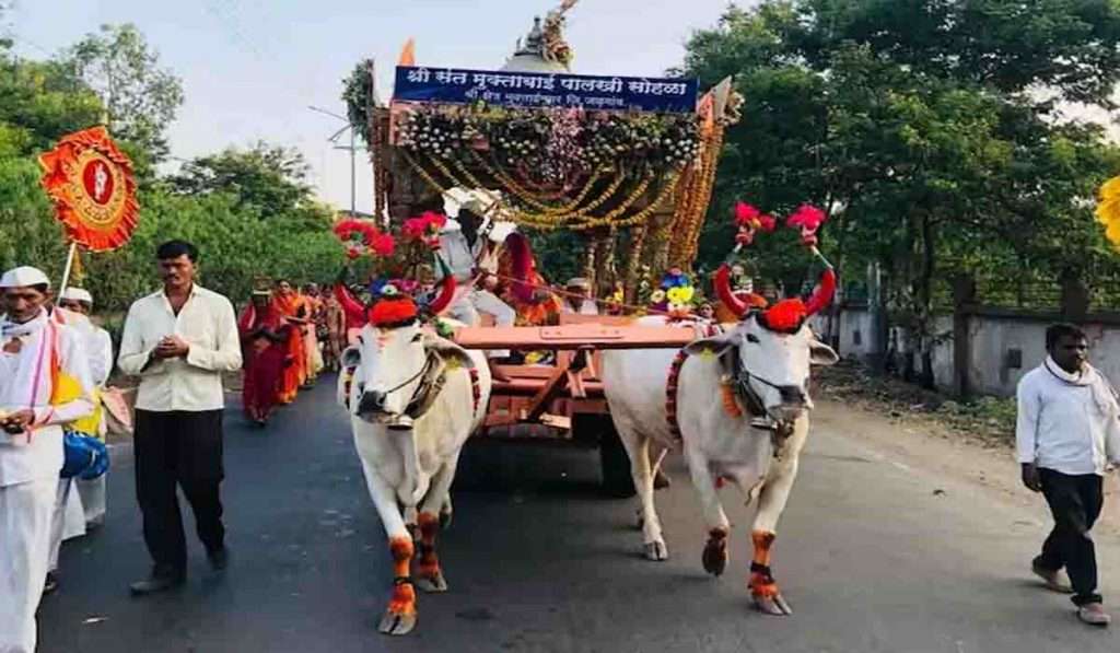 Ashadhi Ekadashi 2023, वारकऱ्यांसाठी आनंदाची बातमी, संत मुक्ताबाईंची पालखी पंढरपुरात दाखल…