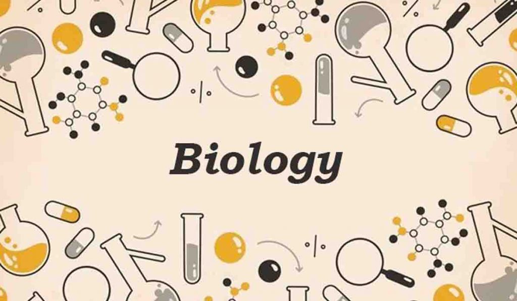 EDUCATION: आता BIOLOGY विषय न घेता DOCTOR होता येणार