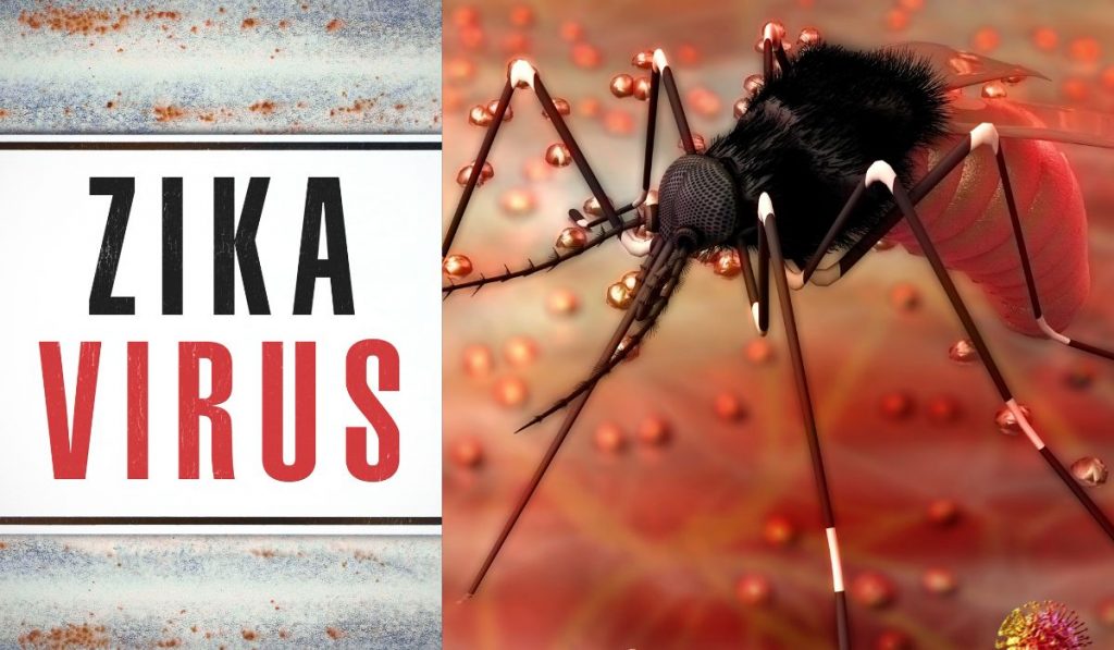 Zika Virus चा पुण्यात शिरकाव, काय आहेत लक्षणे?